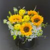 Sunflowers box with bee - ping pong, cute best wishes, special congratulations gift, Kuching flower delivery
