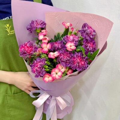 Soft Wild Horse Harmony (Pre-Order)